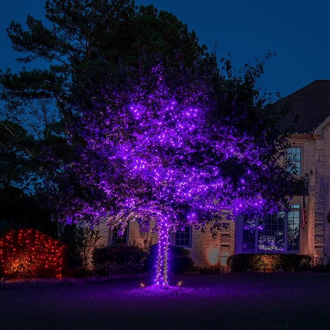 TW SHINE Purple Halloween Lights, 2 Pack 20FT 100 Count Incandescent Halloween Mini String Lights, Waterproof Halloween Decorations for Outdoor Indoor Patio Home Party Garden Yard Decor