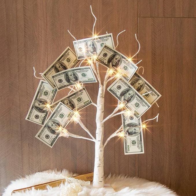 EAMBRITE Money Tree Gift Holder, Lighted Birch Tree 2FT 24LED, Battery/USB Powered Timer Light Up Display Twig Gift Card Tree with 6 Clear Clips and 6 Cards for Home Christmas Graduation Photo Memo