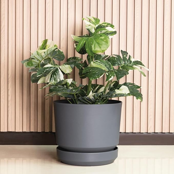Elly Décor 12 inch Plastic Cylinder Planter Pot with Self-Watering Saucer and Drainage Hole,Lightweight & Extremely Durable, 12"x 12", Gray