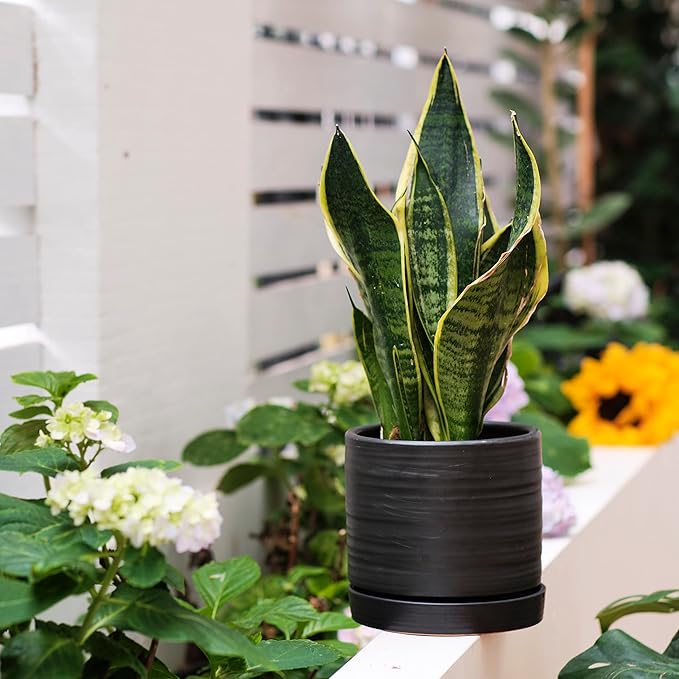 6 + 8 Inch Plant Pots, Ceramic Planter Pot with Drainage Hole & Saucer, Indoor/Outdoor Cylinder Round Planter Pot, Matte Black