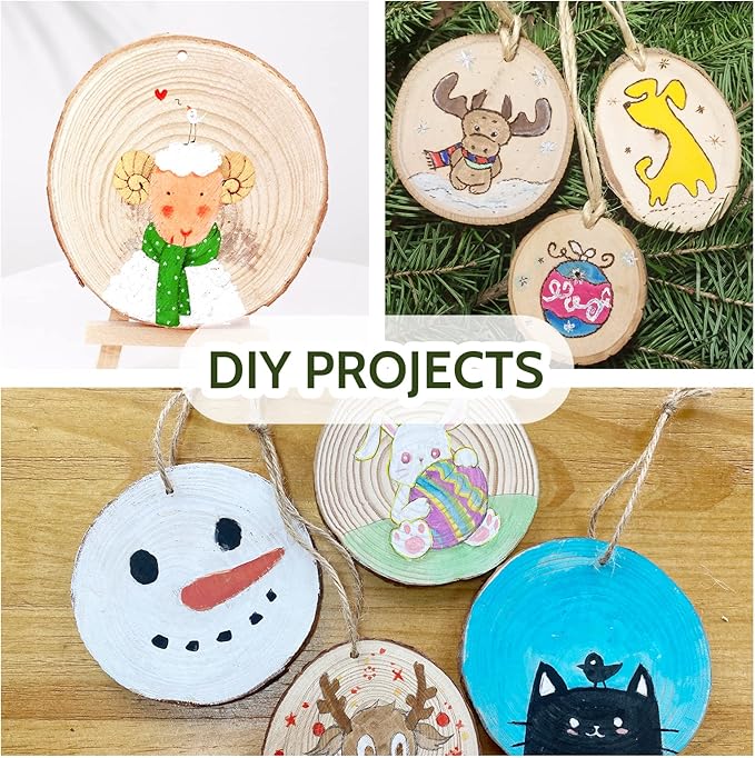 Falling in Art 2.3-3.1 Inches Natural Wood Slices Set for Crafts - 25Pcs Round Wood Discs with Pre-drilled Hole for DIY Projects, Christmas Ornaments and Wedding Decoration