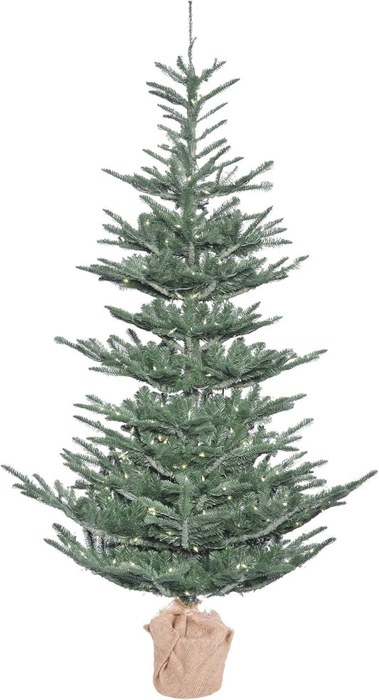 5' x 40" Alberta Blue Spruce 200LEDWmWht