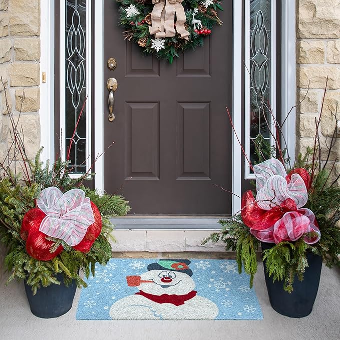 Gertmenian Paramount Frosty Coir Doormat - 2x3 Welcome Mat (2-Pack), Ideal for High Traffic Areas in Front Door, Garage, Entryway - Blue/Celebrate, 80026