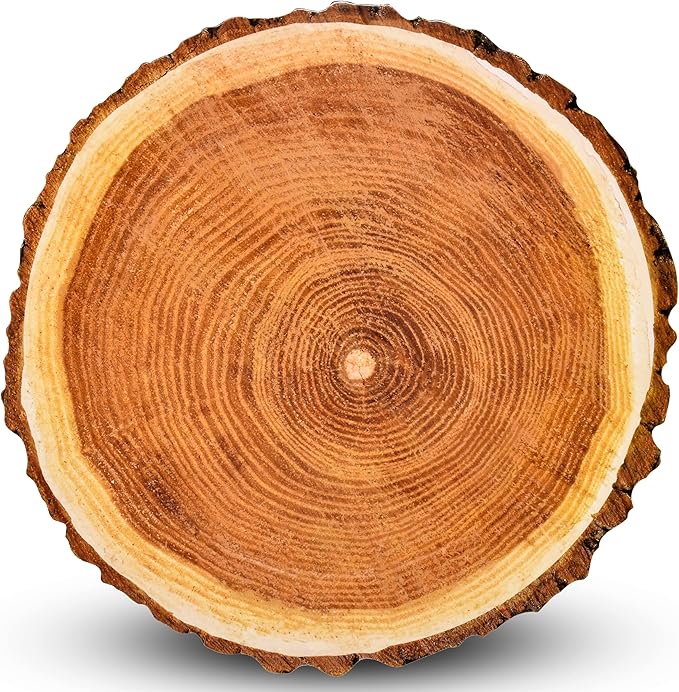 Gift Boutique 24 Disposable Wood Round Charger Plates 13" Rustic Brown Wooden Slice Dinner Serving Tray Heavy Duty Paper Cardboard Platter Place Mats